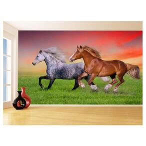 Papel De Parede Animais Casal Cavalos Fazenda 3,5M Anm320