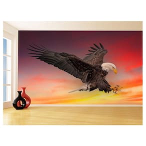 Papel De Parede 3D Animais Ave Aguia Voando Céu 3,5M Anm288