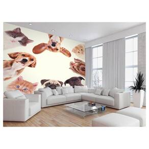Papel De Parede 3D Animais Cão Gato Petshop 3,5M Anm415