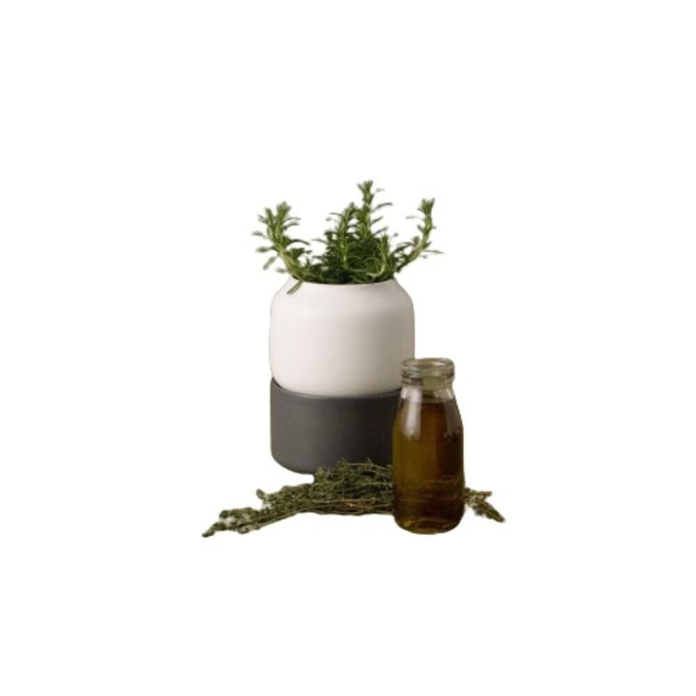 Vaso Para Ervas Com Sistema De Auto Regador Pequeno Chef`N