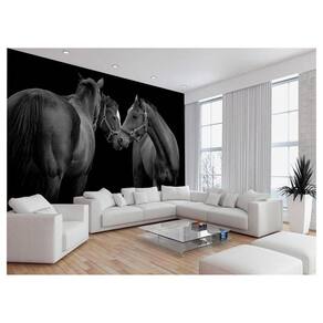 Papel De Parede Animais Casal Cavalos Fazenda 3,5M Anm345