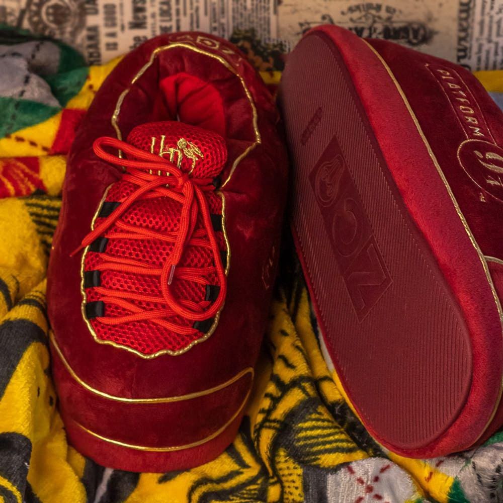 Pantufa Harry Potter Plataforma 9 ¾ 36/38