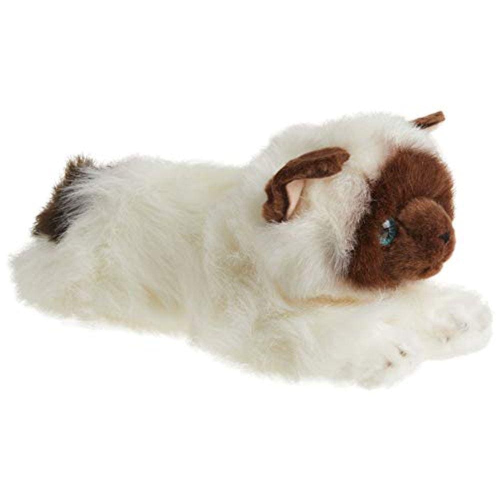 Bicho de pelúcia Aurora Bella Flopsie Birman Cat 30 cm branco