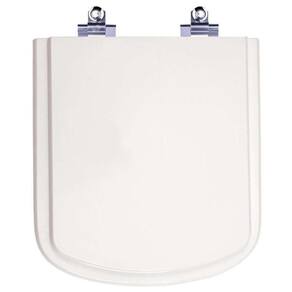 Assento Sanitário Laqueado Soft Close Dumas Branco Para Vaso Eternit