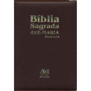 Bíblia Edição Ilustrada Luxo - Média - Marrom