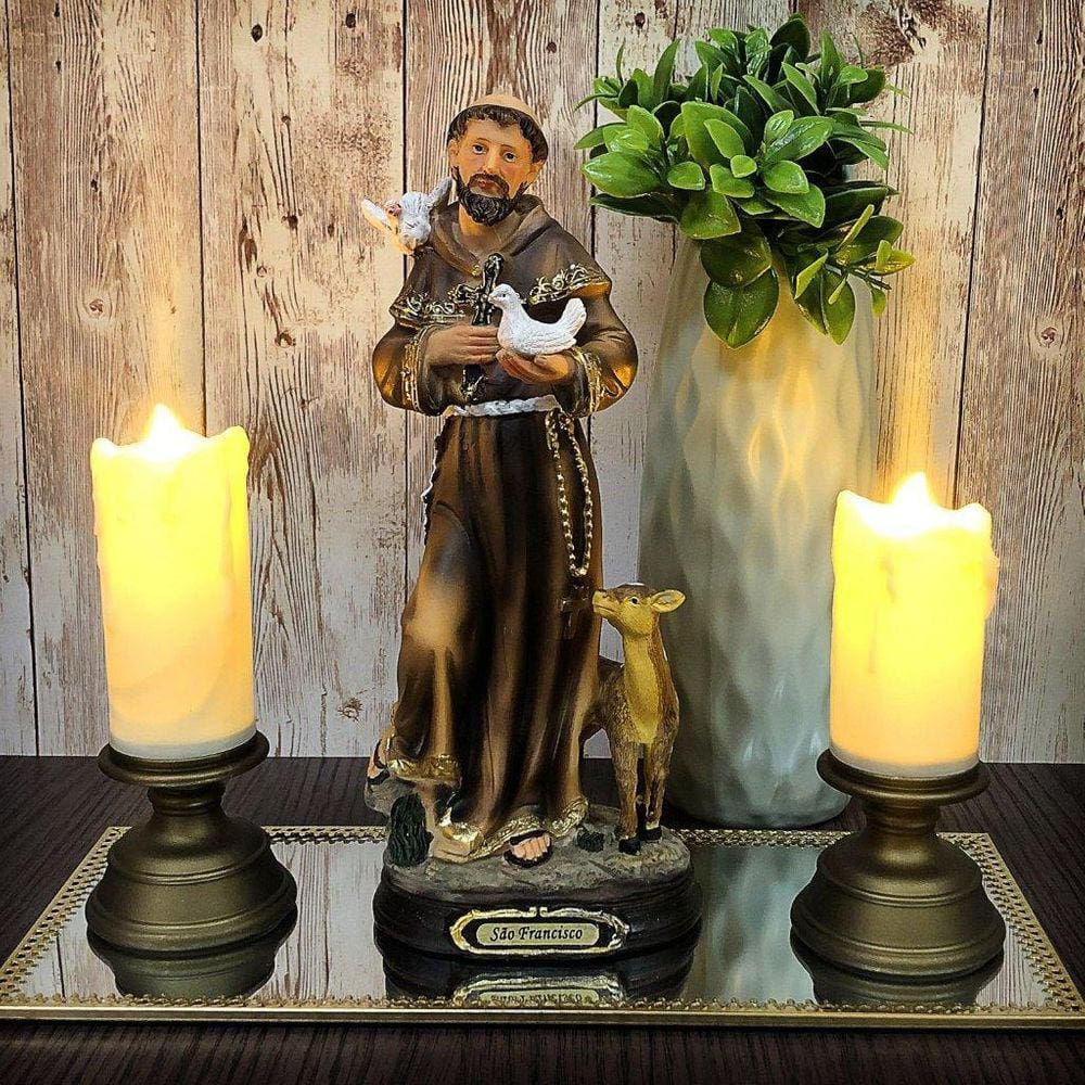 Imagem São Francisco Importada Resina 21 Cm