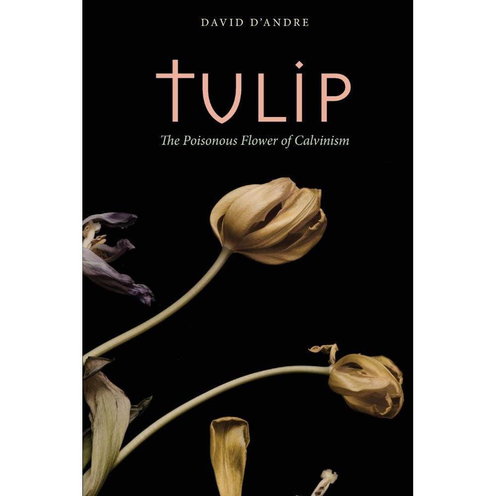 Tulip