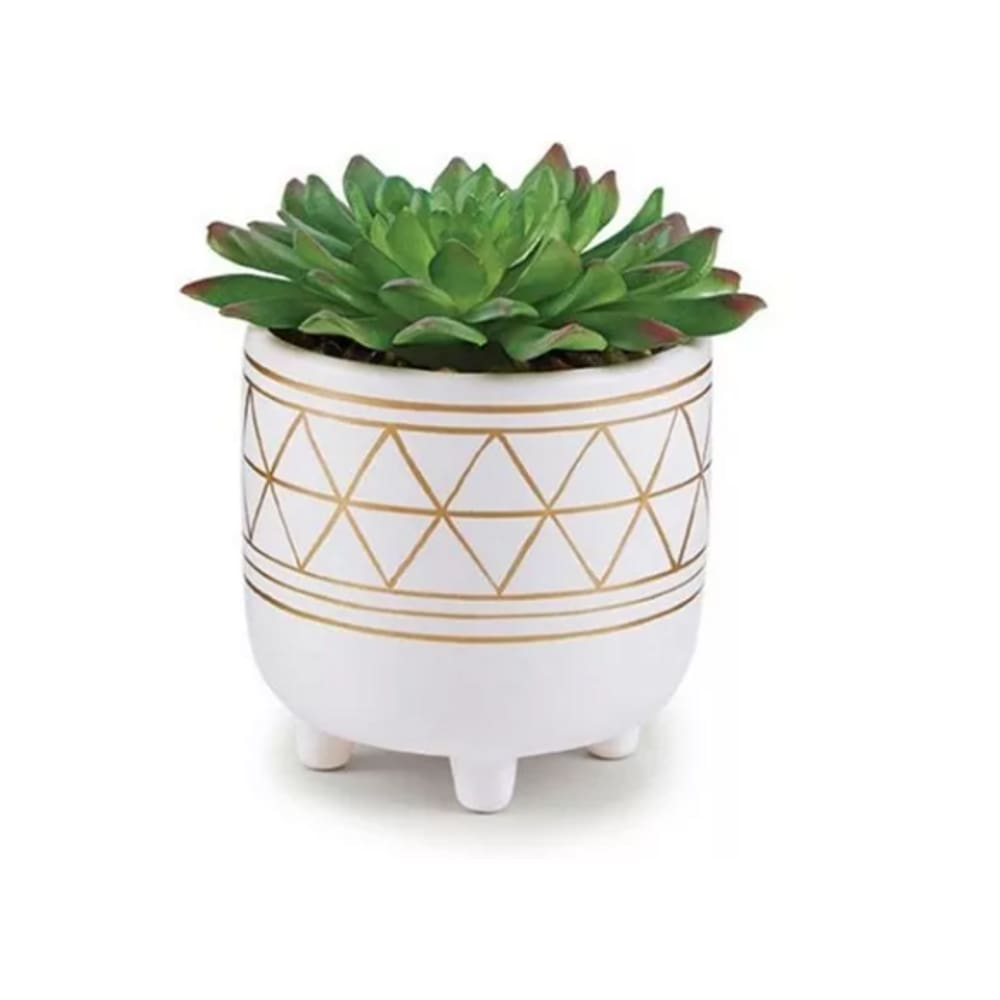Cachepot Com Pés Cerâmica Com Suculenta Permanete - Mart
