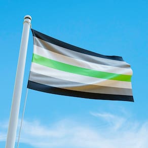 Bandeira Avulsa Orgulho LGBT Cores em Cetim Brilhante - Tamanho Grande 1,20m x 85cm
