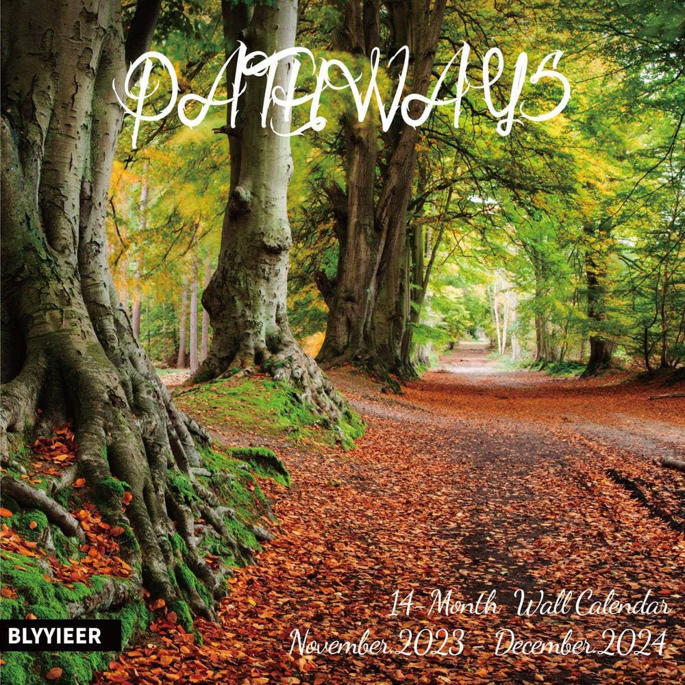 Calendário de parede BLYYIEER PATHWAYS 2024 14 meses 30x60cm