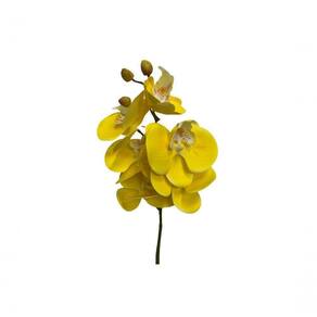 Haste Orquídea C\ 6 Flores Amarelo - Villaggio Das Flores