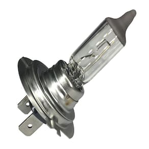 Lampada Halogena H7 12V 55W