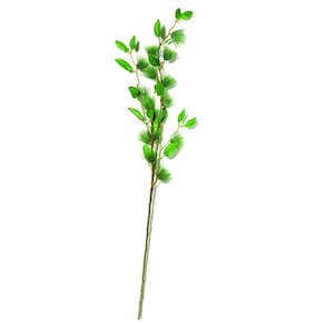 Planta Permanente - Mart