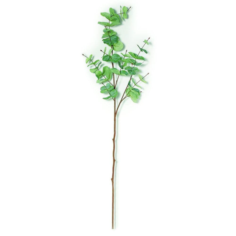 Planta Permanente Eucalipto - Mart