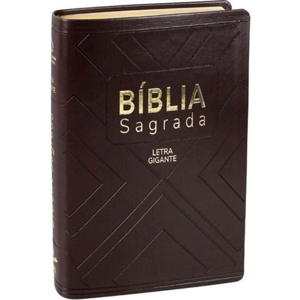 Livro Bíblia Sagrada - Naa - Marrom Com Índice - Média Lgig