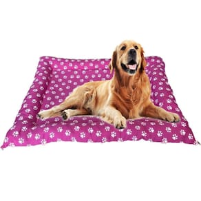 Cama P/ Cães Grande Golden e Gato Super Oferta Pet Rosa