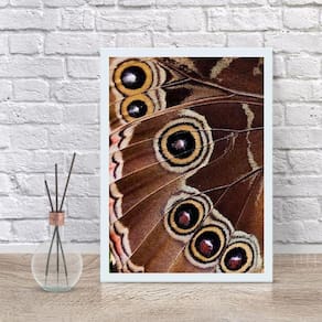 Quadro Decorativo Fotografia Asa Borboleta 45X34Cm - Vidro