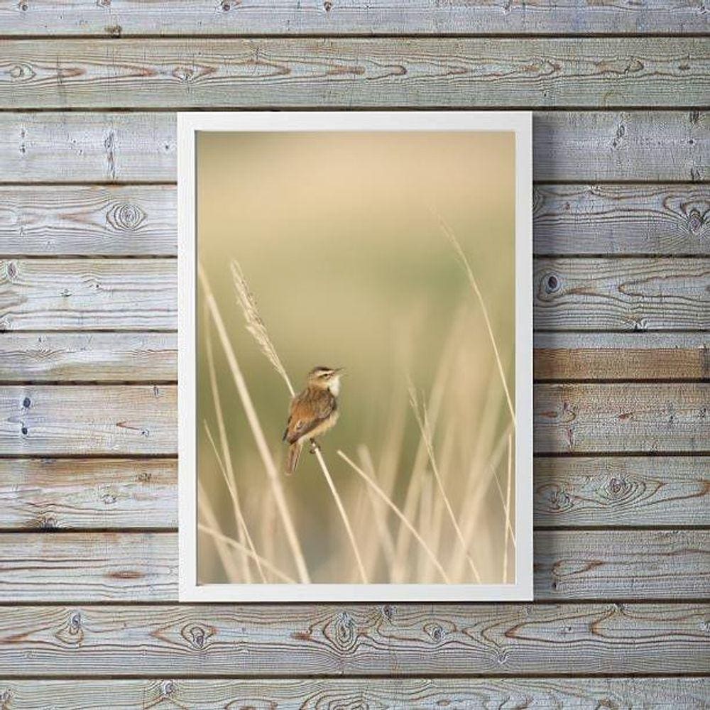 Quadro Decorativo Bege Passarinho Natureza 45X34Cm - Vidro