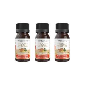 Oleo Capilar Vegetal Vita Seiva Gengibre 30Ml-Kit C/3Un