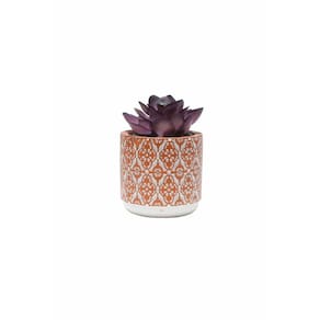 Vaso em Cimento com Suculenta Cachepot Vasinho 8cm