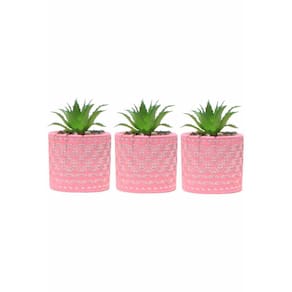Kit 3 Vasos em Cimento Decorativo Rosa com Suculenta Planta