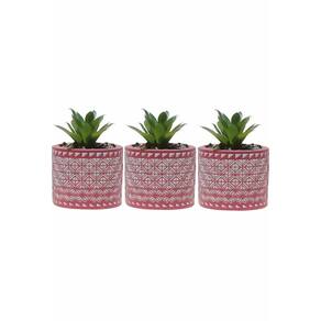 Kit 3 Vasos em Cimento Decorativo Pink com Suculenta Planta