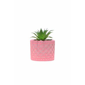 Vasinho em Cimento Cachepot com Suculenta Planta Artificial