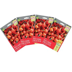 4X Sementes de Pimenta Iracema (Biquinho Vermelha)Super ISLA