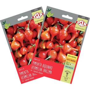 2X Sementes de Pimenta Iracema (Biquinho Vermelha)Super ISLA