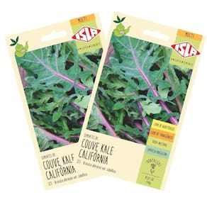 2X Sementes de Couve Kale Califórnia ISLA