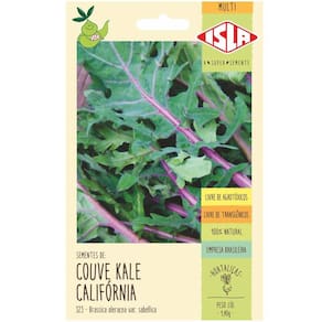 Sementes de Couve Kale Califórnia ISLA
