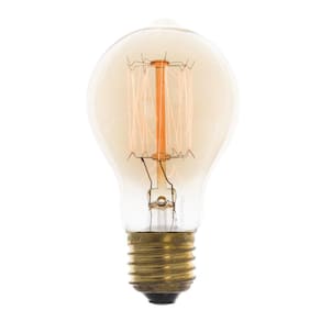 Lâmpada Filamento De Carbono Poptem A19 40W 220V