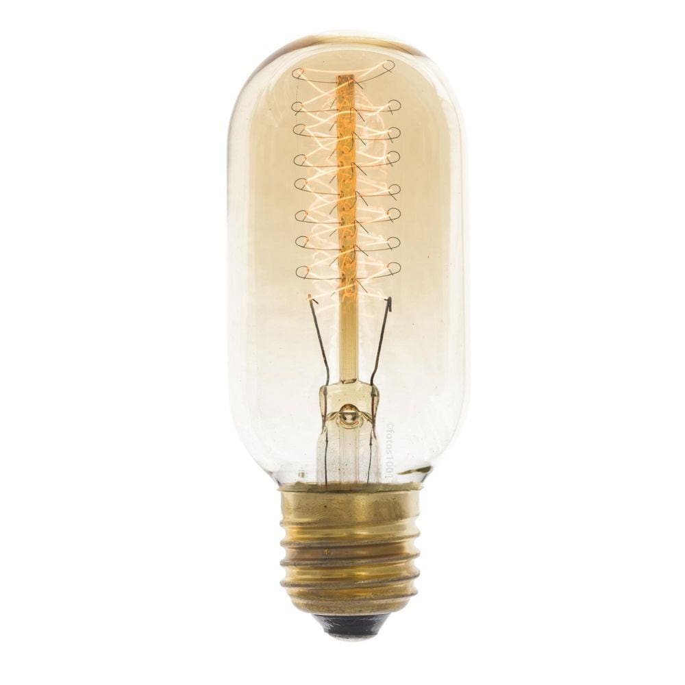 Lâmpada Filamento De Carbono Poptem T45 40W 220V