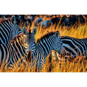 Quebra-Cabeça Cognitivo Zebras Da Savana 300 Peças