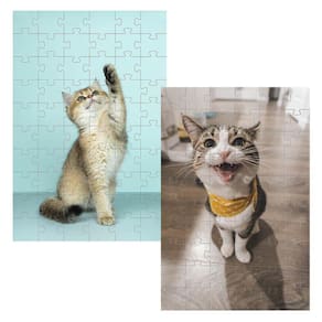 Kit 2 Quebra-Cabeças Cognitivos Gatinhos De 60 Peças