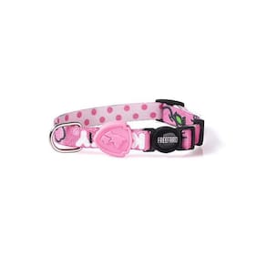 Coleira P  Gatos Hello Kitty Freefaro