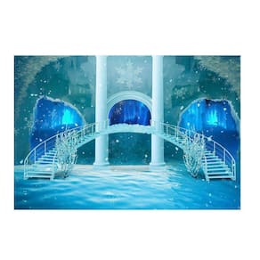 Fundo Fotográfico Newborn Frozen 3,0X2,5 Ffg-074