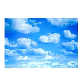 Fundo Fotográfico Newborn Nuvens 3,0X2,5 Ffg-162