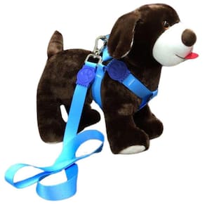 Coleira Peitoral Americano Premium Seda Cachorro - Azul nº 6 | NICAPET