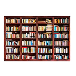 Fundo Fotográfico Newborn Biblioteca 2,2X1,5 Fff-429
