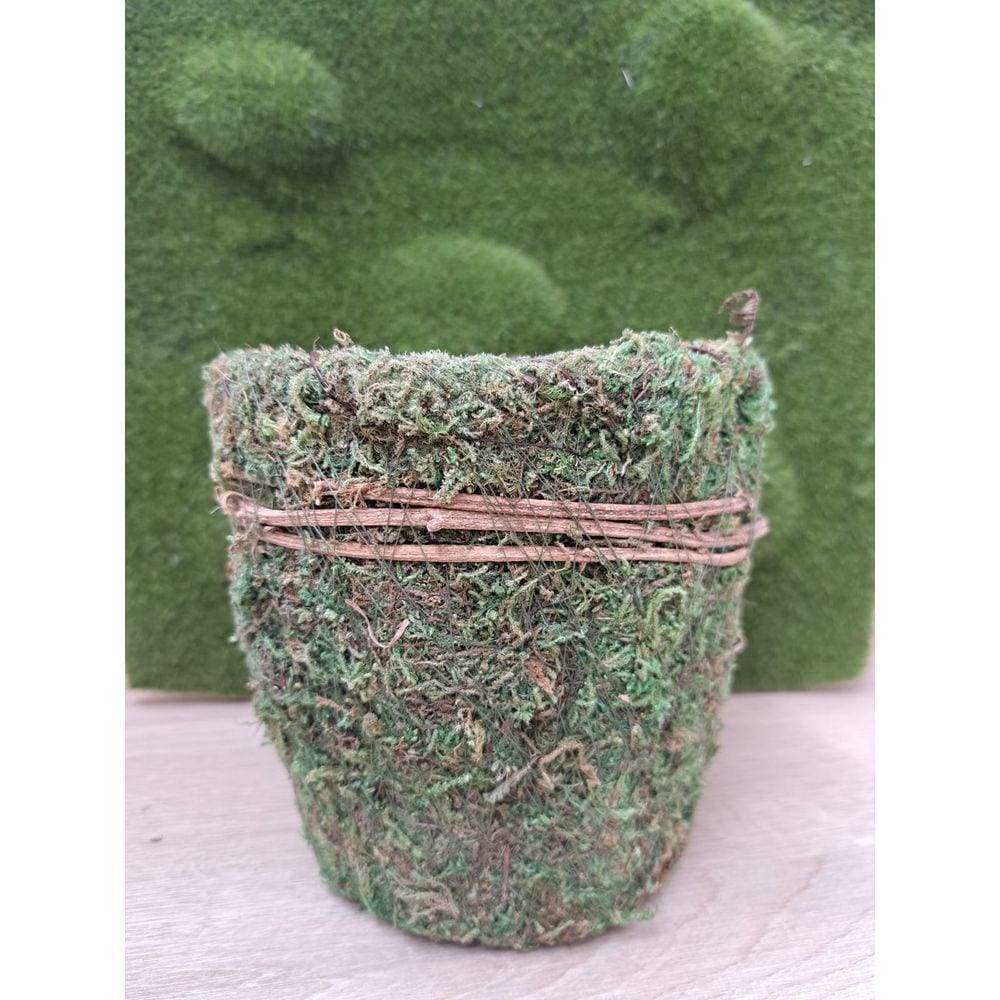 Cachepot musgo 14x13x10cm