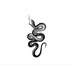 Tatuagem Temporária Delicada Cartela Serpente Cobra