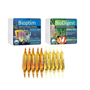 Kit 5 Ampolas Prodibio Biodigest 5 Ampolas Bioptim Bactérias