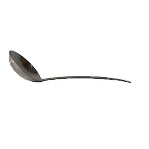 Concha, Cod: Ud16101