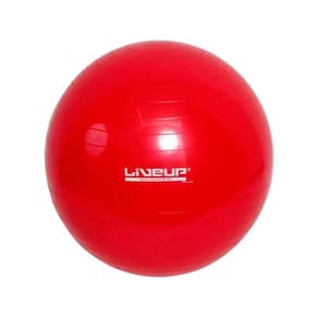 Bola Suíça Pilates Yoga Ginastica 45 Cm + Dvd