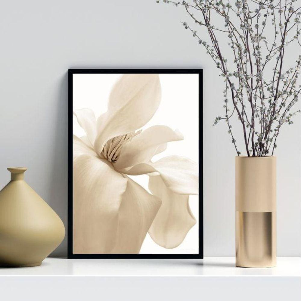Quadro Decorativo Flor Bege Fundo Branco 24X18Cm