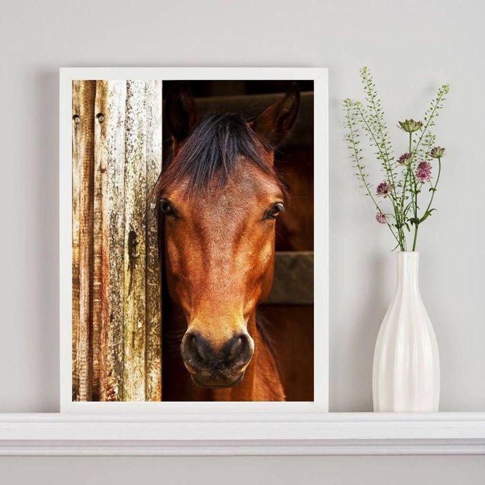 Quadro Decorativo Fotografia Cavalo Na Baia 33X24Cm