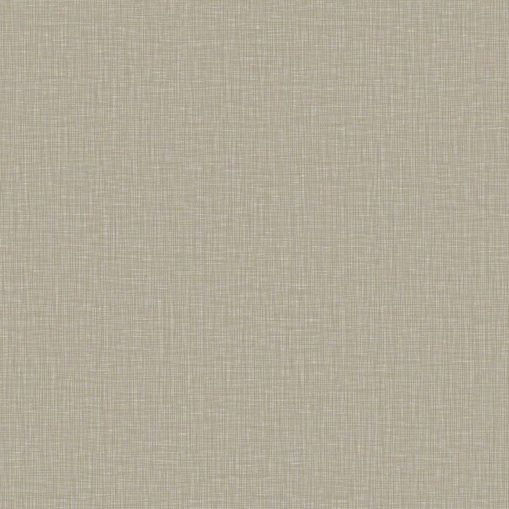 Papel de Parede Criativo Textura Bege CR333306R
