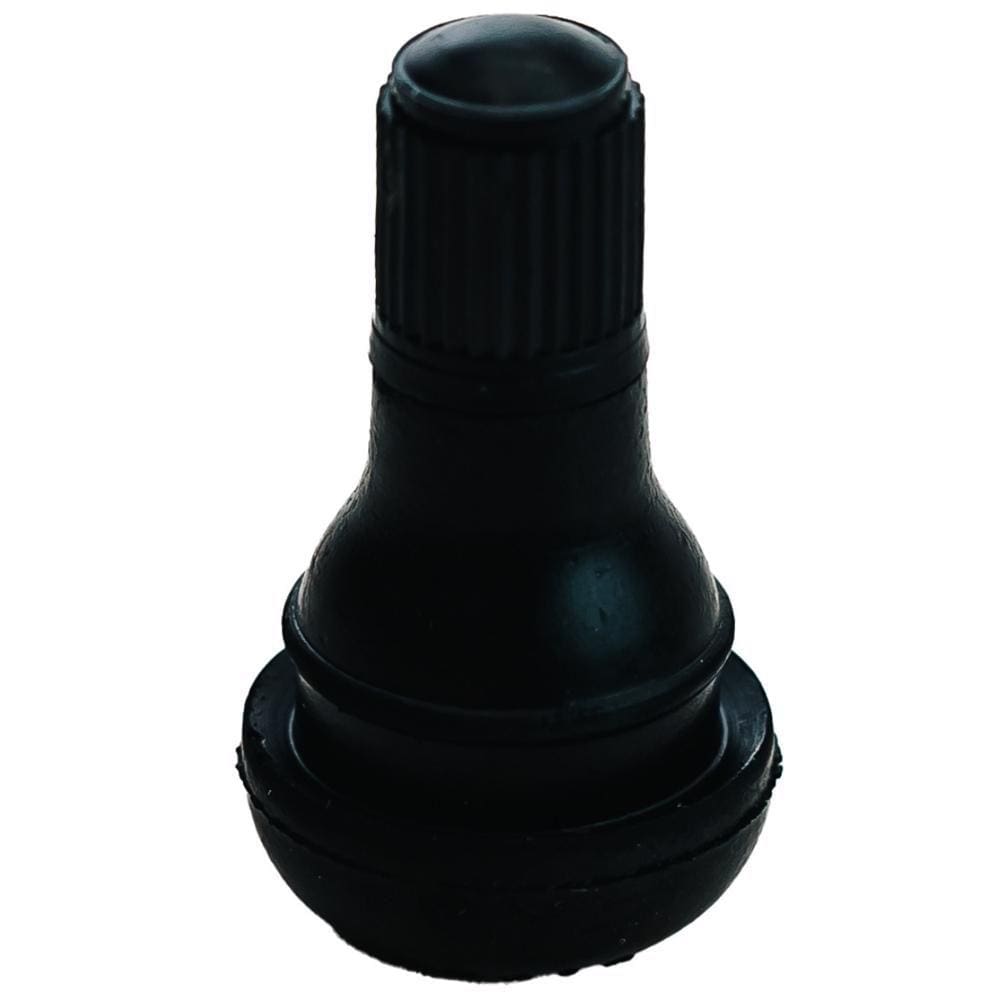 Válvula para Pneu sem Câmara TR-412 Fiontar