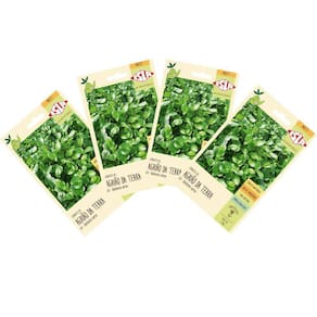 4X Sementes de Agrião da Terra ISLA
